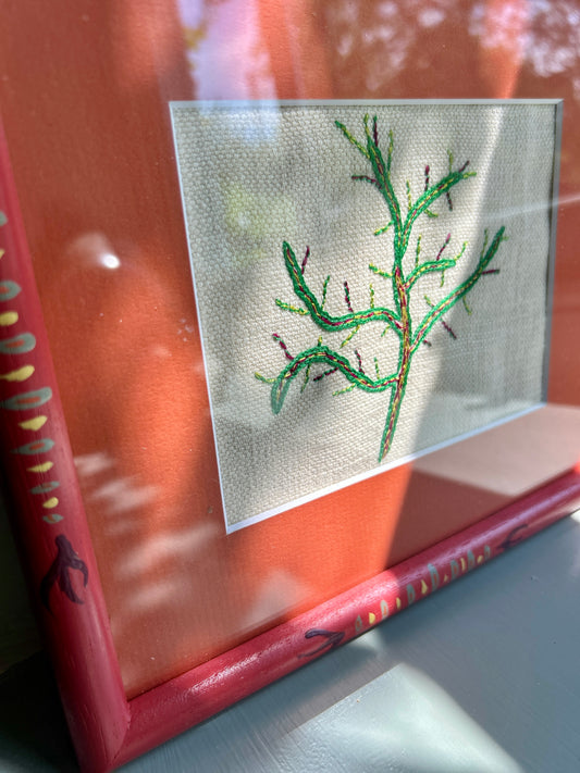 Seaweed