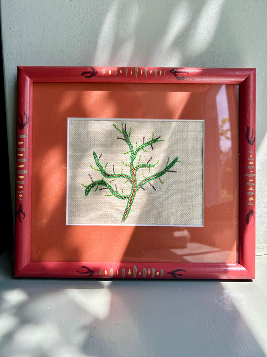 Seaweed